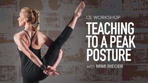 CE Workshop | Teaching to a Peak Posture