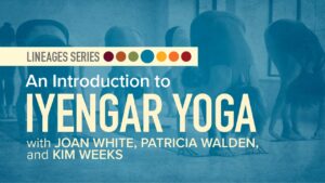 Yoga Lineages | An Introduction to Iyengar Yoga