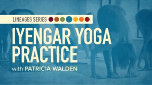 Yoga Lineages | Iyengar Yoga Practice