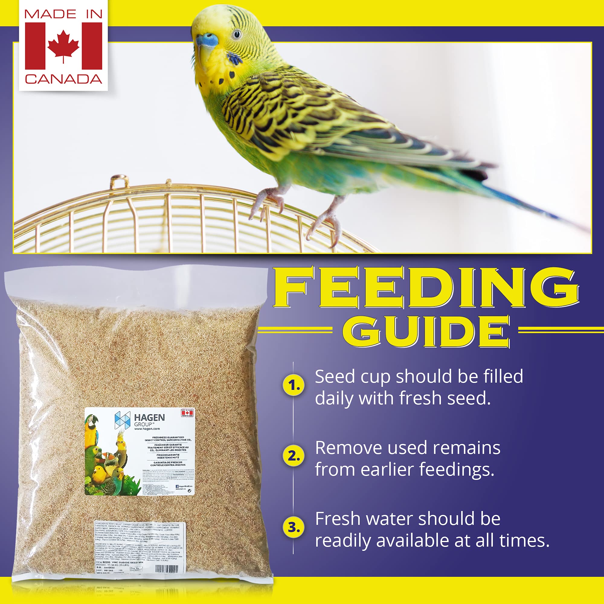 An effective guide to Bird seed and food An effective guide to Bird seed and food 170601 1 - An effective guide to Bird seed and food